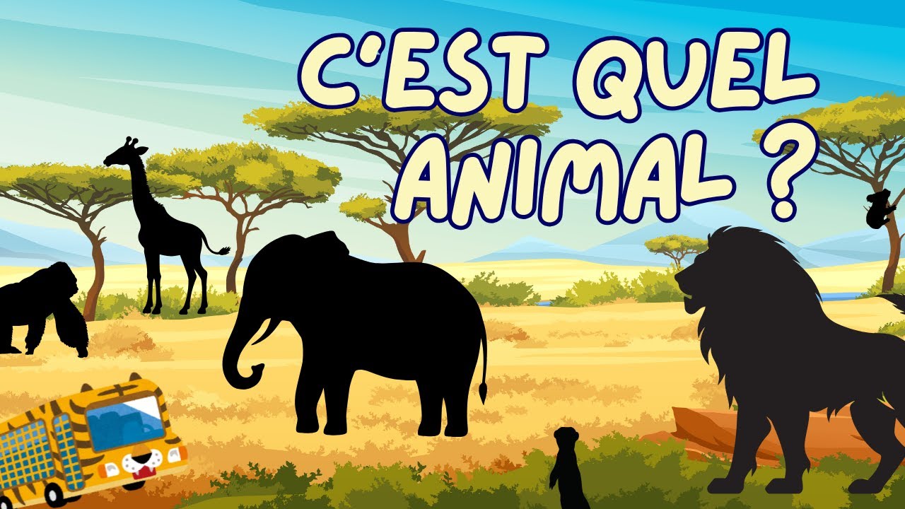 Quiz Safari: Devine les animaux ! 🦁🐘🦒🚌