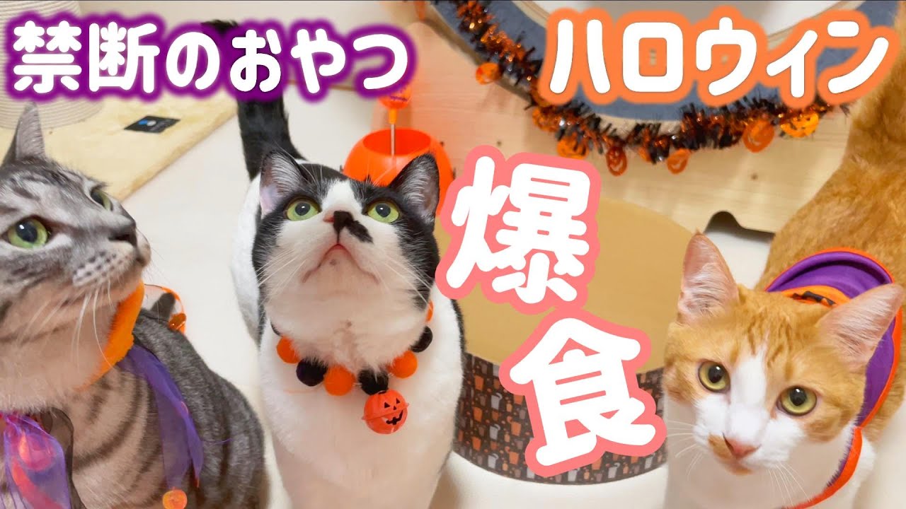 ハロウィンコスプレのご褒美に禁断おやつを爆食いしてみた