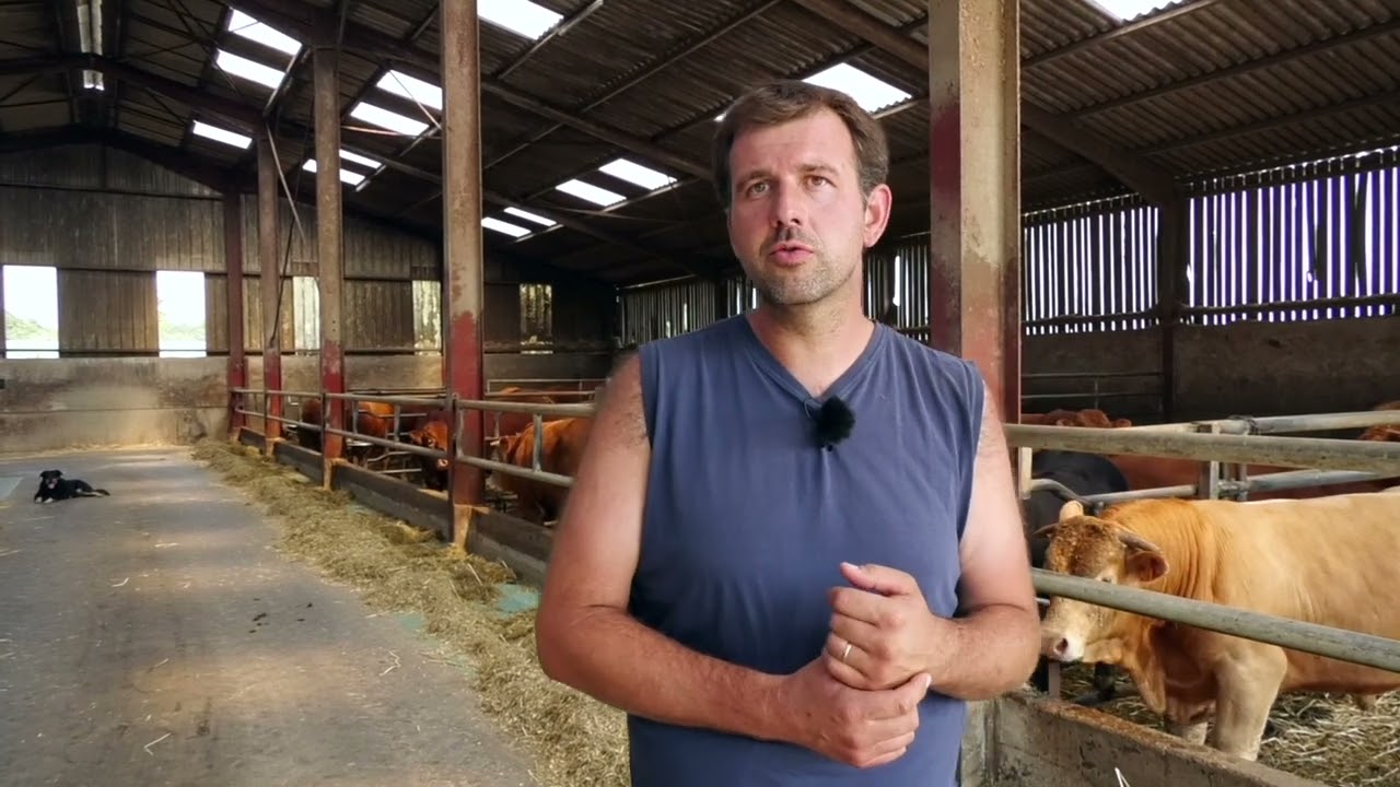 (FR) Test de gestation Alertys OnFarm &ndash; Guillaume Korn