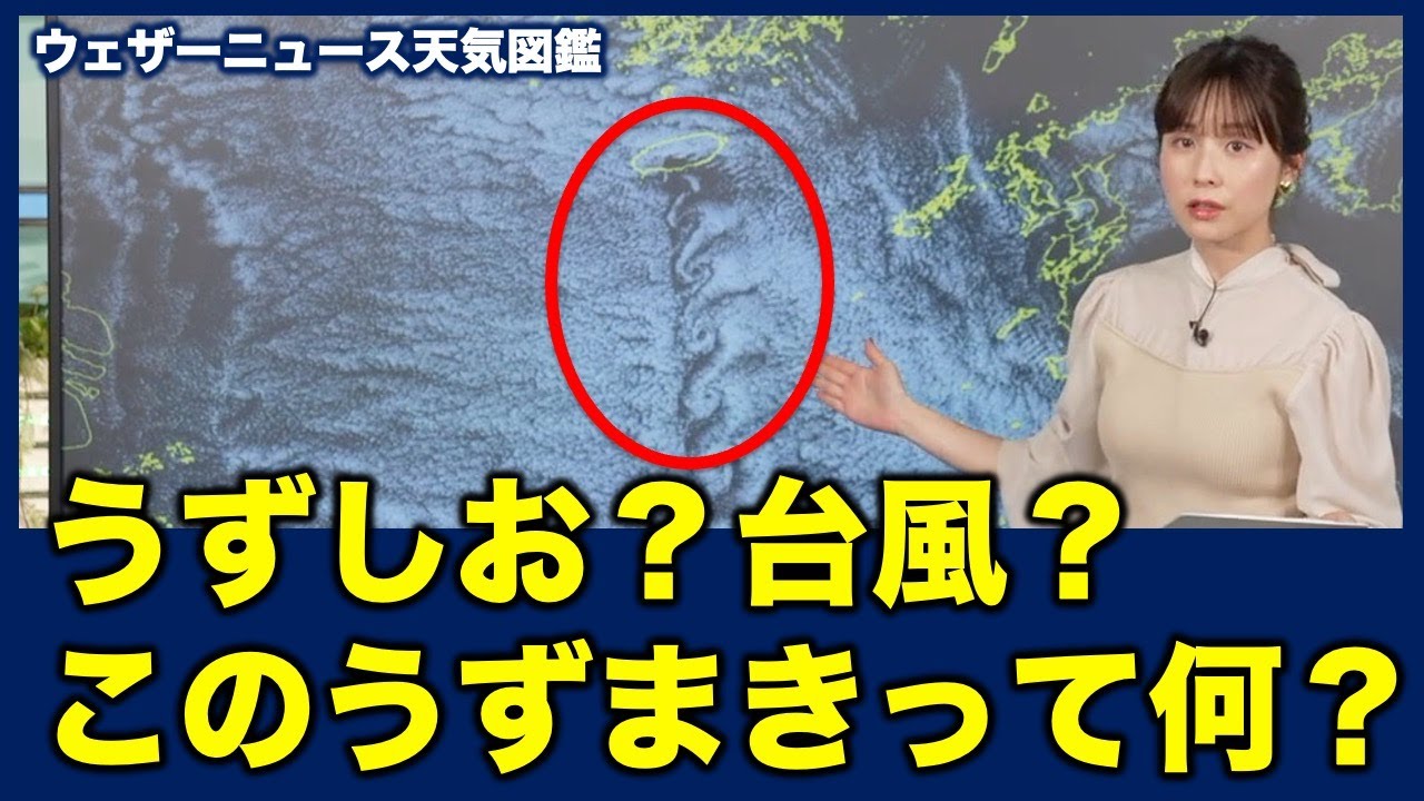【冬の天気】衛星画像で見えるこの渦巻きは何？？ #ウェザーニュース天気図鑑 #カルマン渦