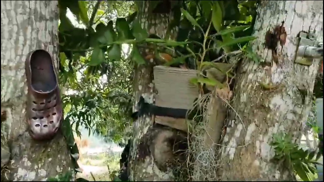Recorrido por el Jardín de Isabel