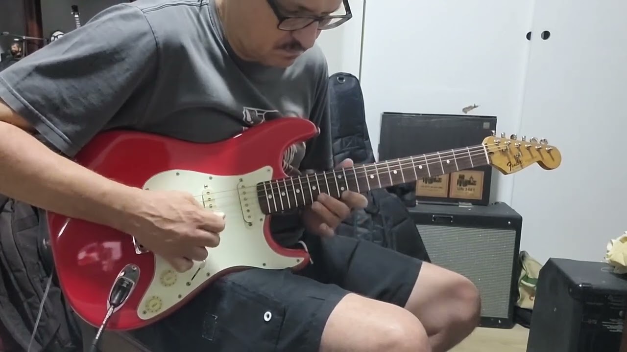 Redblues Wings (Fender Stratocaster MIM tex mex)
