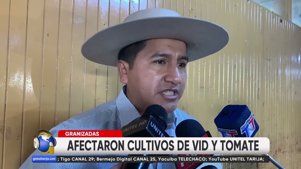TARIJA: EVALÚAN DAÑOS A CULTIVOS DE VID TRAS FEROZ GRANIZADA