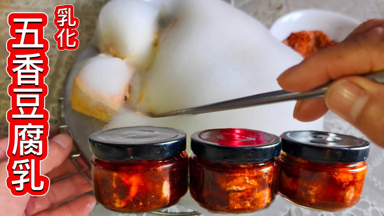 你可能不知道自制豆腐乳這樣簡單❗收藏起來 想吃自己做 太香啦 