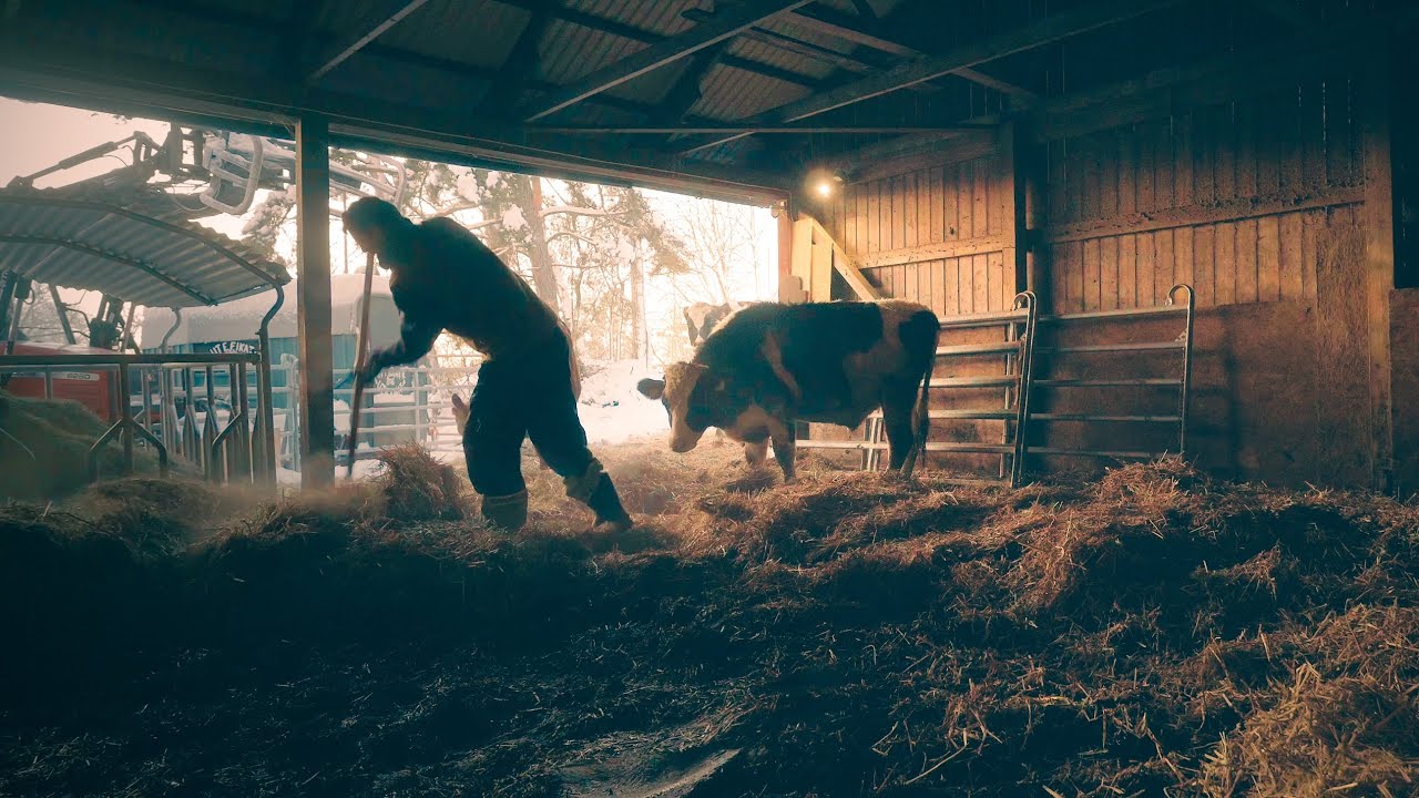 Ingen vinter är den andra lik ❄️  | Livet på småskalig gård 🐔🐄🐏 | # 366