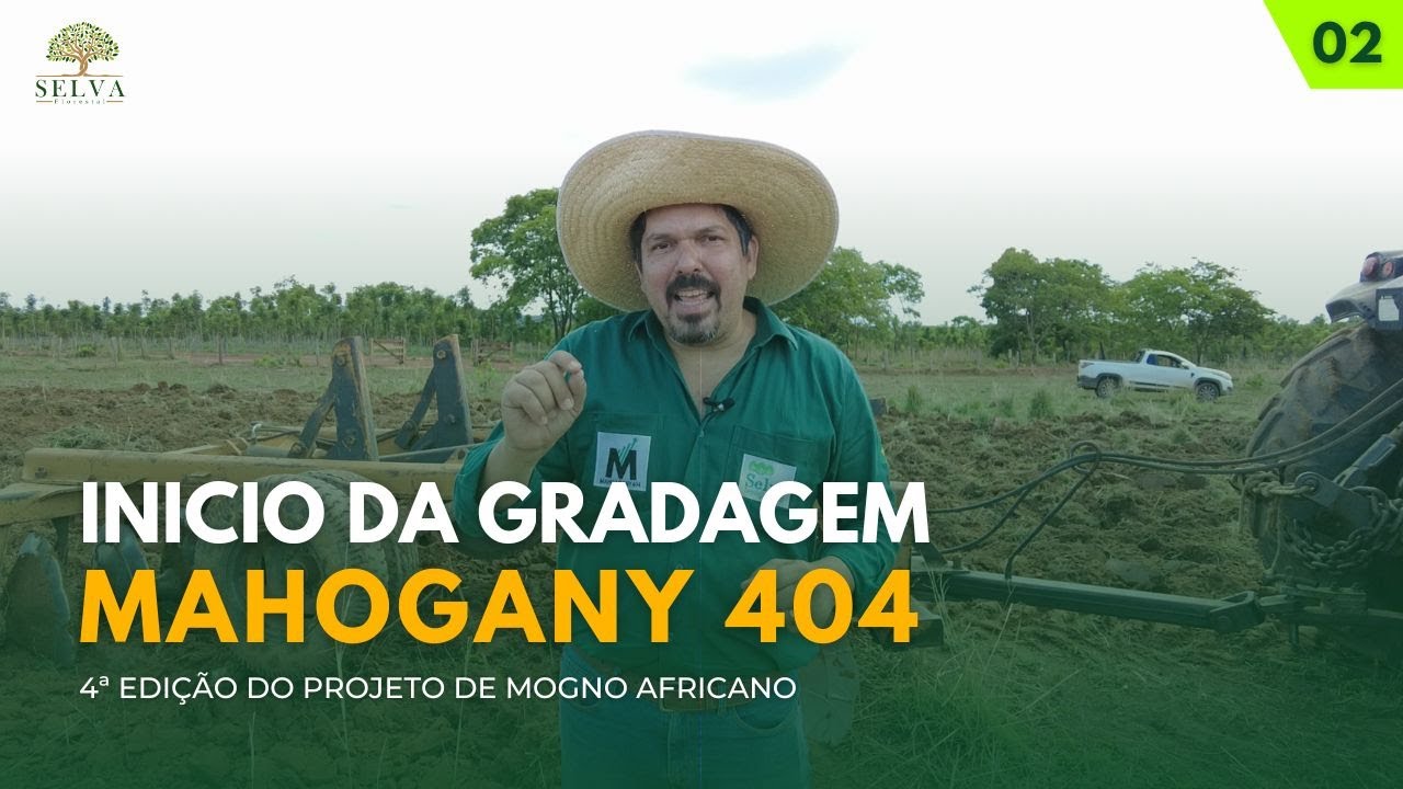 INICIO DA GRADAGEM NO PROJETO MAHOGANY 404