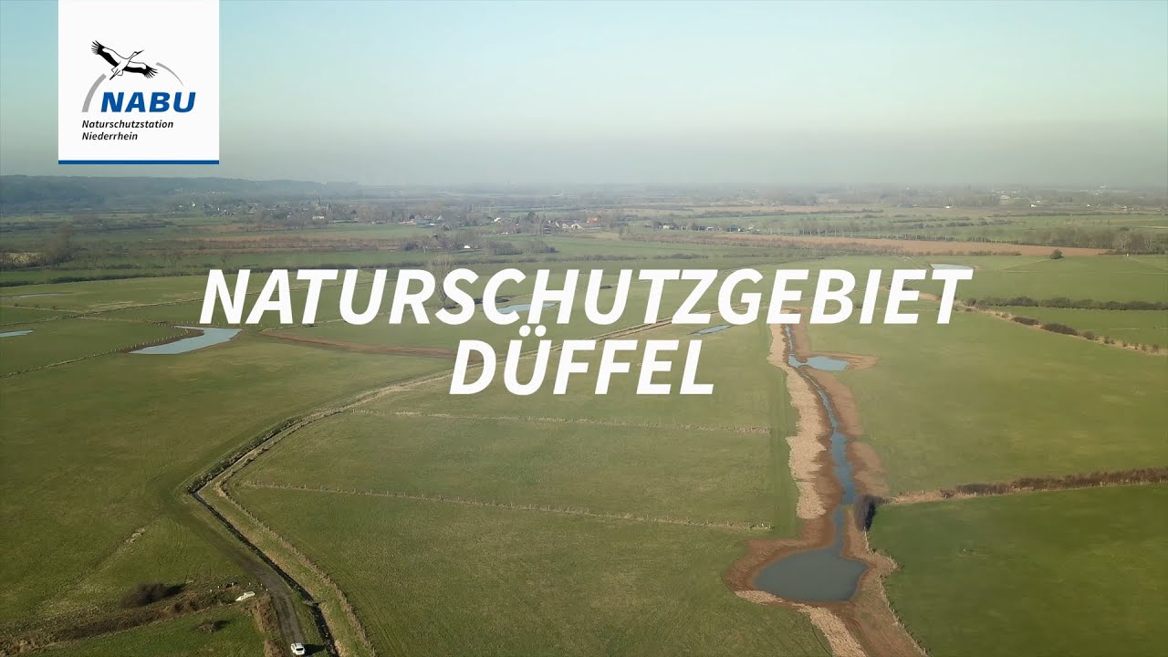 Naturschutzgebiet Düffel