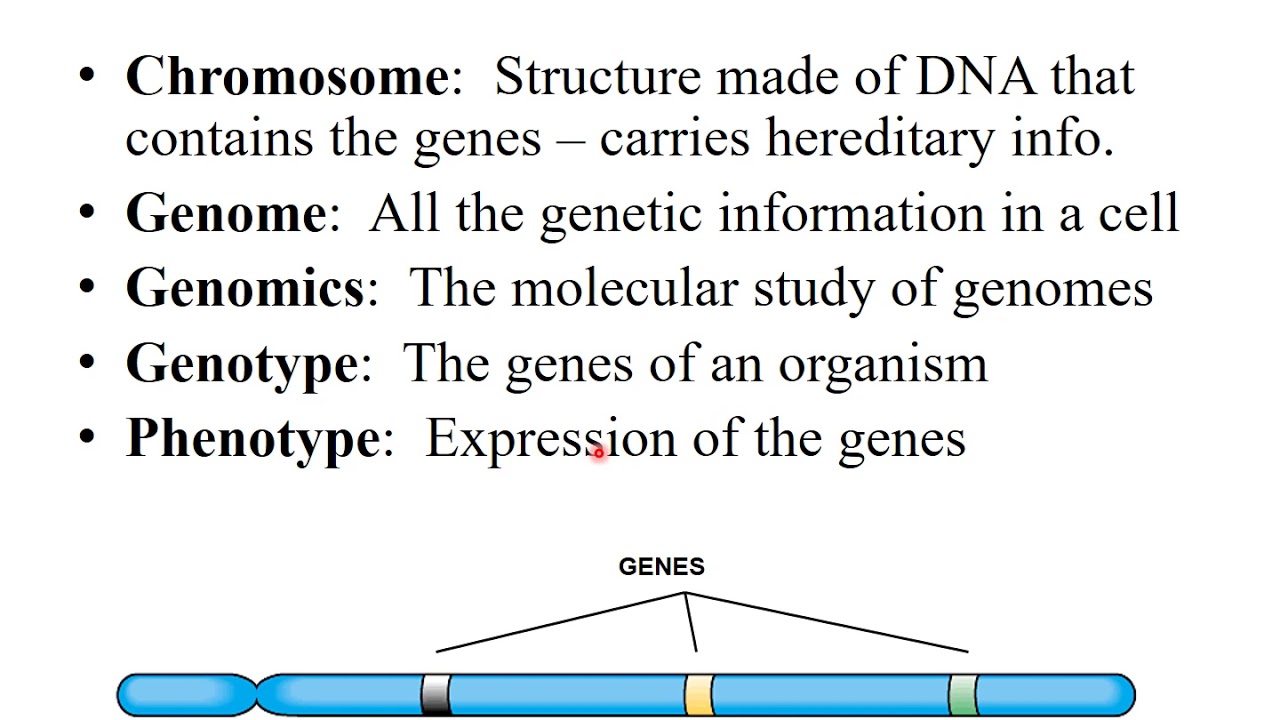 Chapter 8  Microbial Genetics Part 1
