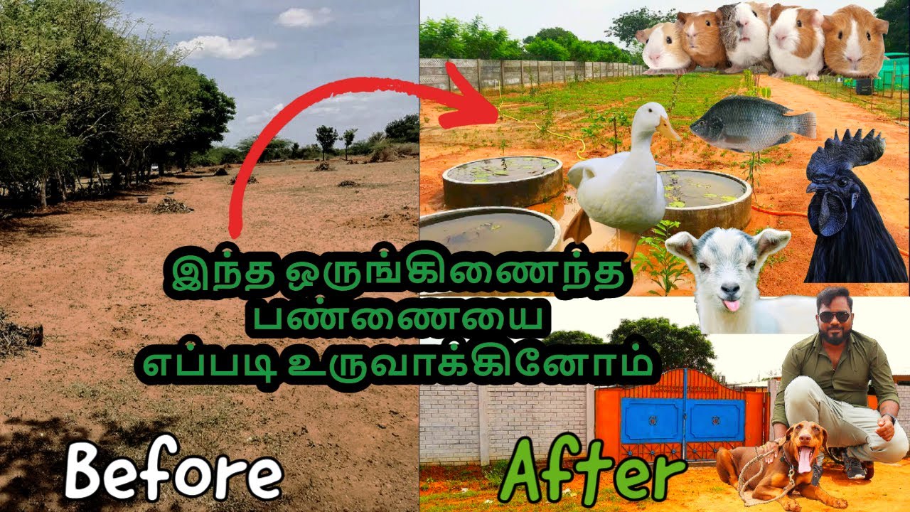 1 ஏக்கரில் -  ஒருங்கிணைந்த பண்ணை | Integrated Farming in 1 acre | saiguru integrated farm trichy