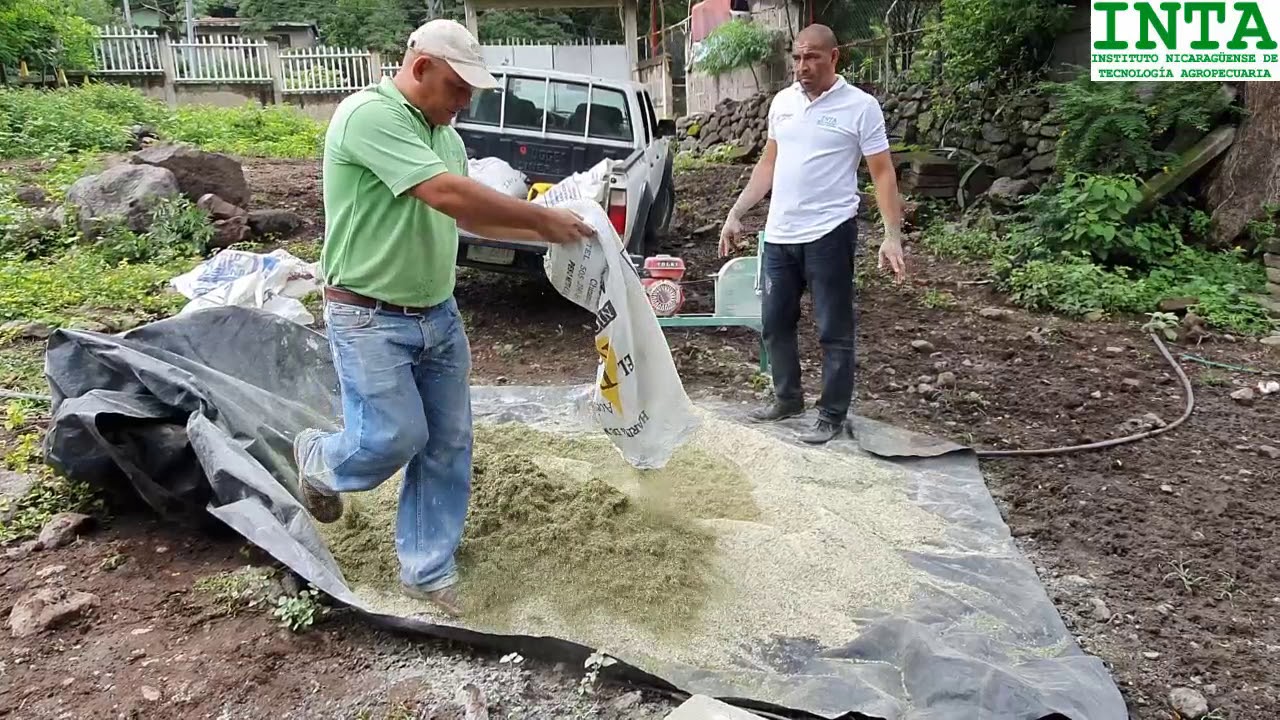 CONCENTRADO PARA CERDO