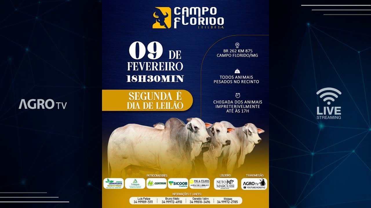 CAMPO FLORIDO LEILÕES - 09/02/2026