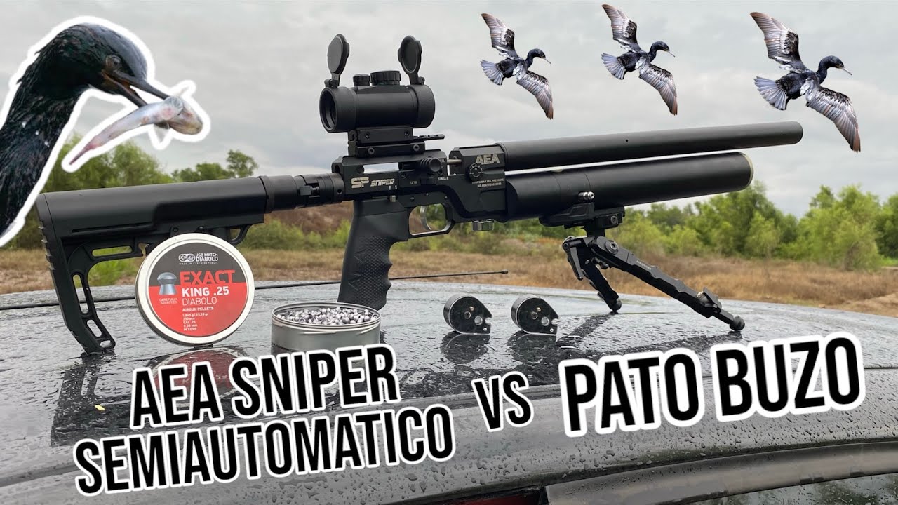 Este rifle es increíble ‼️ salimos a cazar patos BUZOS  con el AEA sniper semiautomatico .25