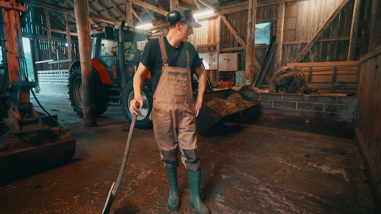 Dynga ska ut & en lampa med tjut | Livet som månskensbonde 🐔🐄🐏