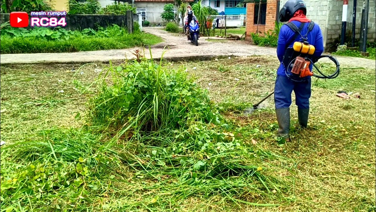 Lahan pak bos belum terjual Rumput nya semakin Semak Tinggi dan Tebal