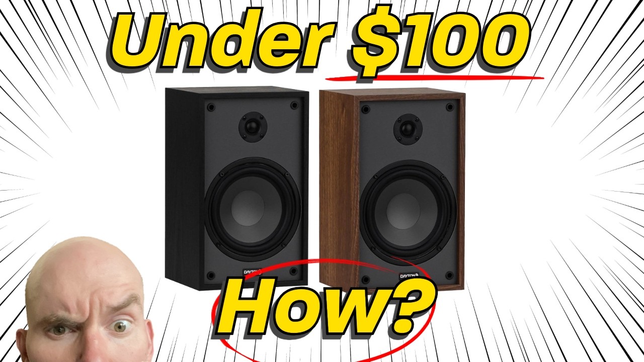 Return of the SUB $100 Dollar Speaker? What's the Catch? Dayton B65 Review