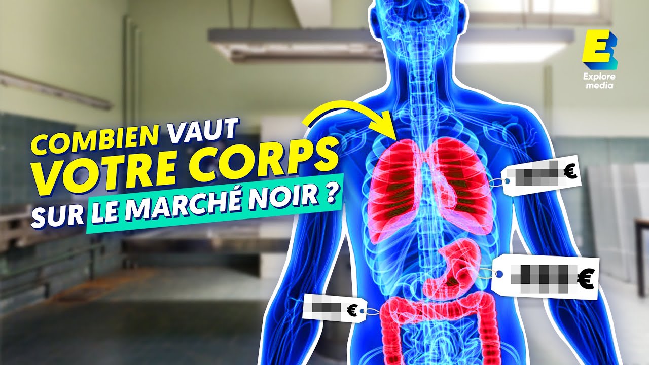 Quel est l'organe le plus vendu au marché noir ? 🫀🫁