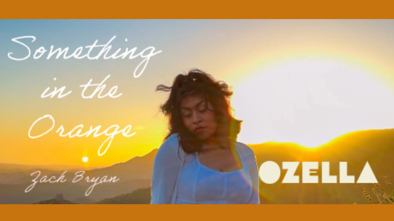 Something In The Orange - Zach Bryan (Cover)