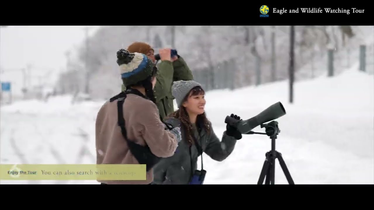 Eagle and Wildlife watching tour ❘ Picchio Shiretoko オオワシ・オジロワシ＆野生動物ウォッチングツアー ❘ ピッキオ知床