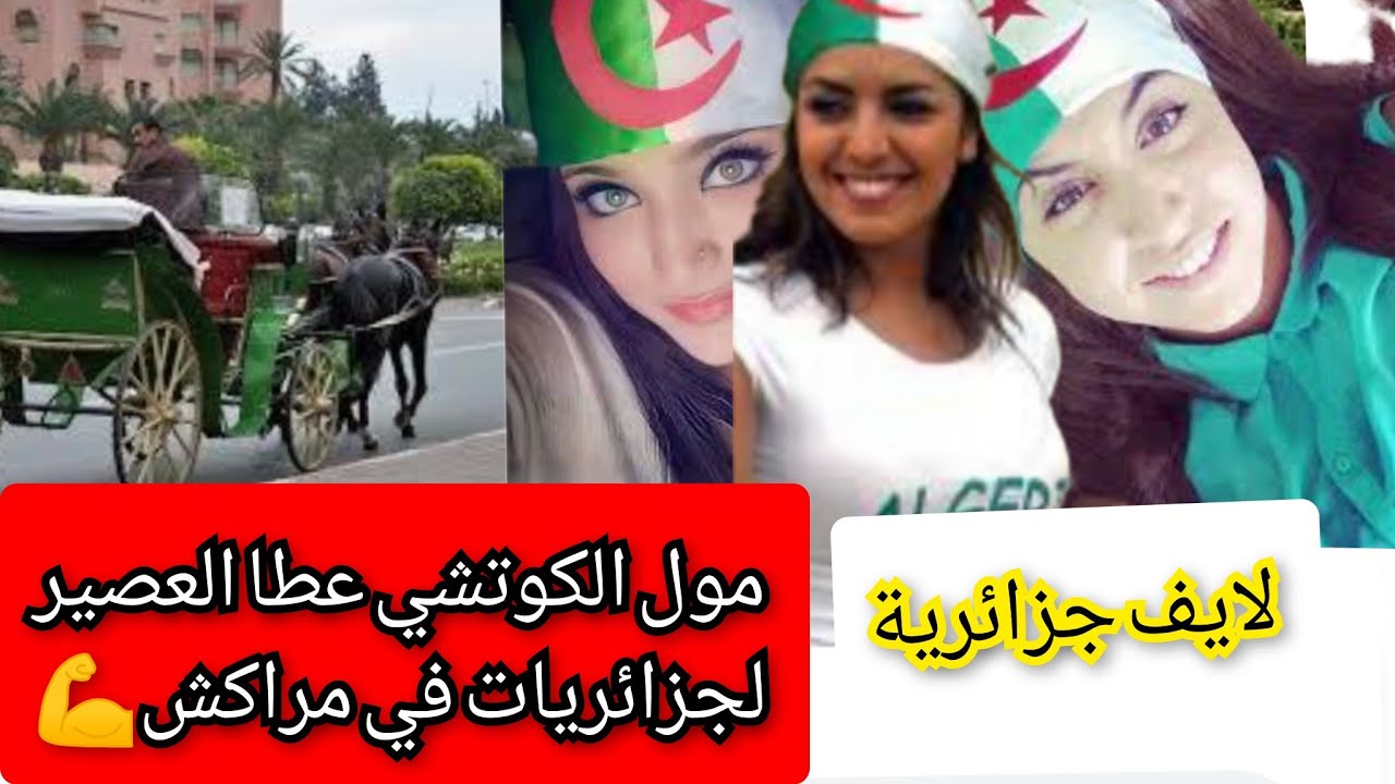 لايف جزائريات في مدينة مراكش مول الكوتشي قام بالواجب وعطاهم العصير💪