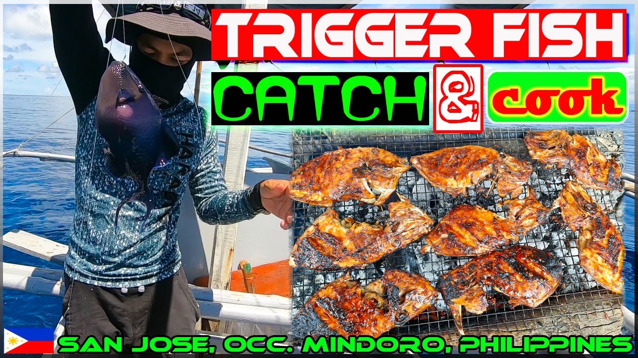 EP158-Part2 - Trigger Fish Catch 'n Cook | With Kabugto Channel | Occ. Mindoro