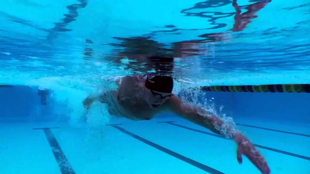 Picking the Right Swimming Technique -  Freestyle