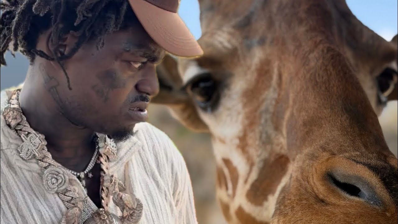SniperGang & @KodakBlack Takes Over The San Antonio Zoo