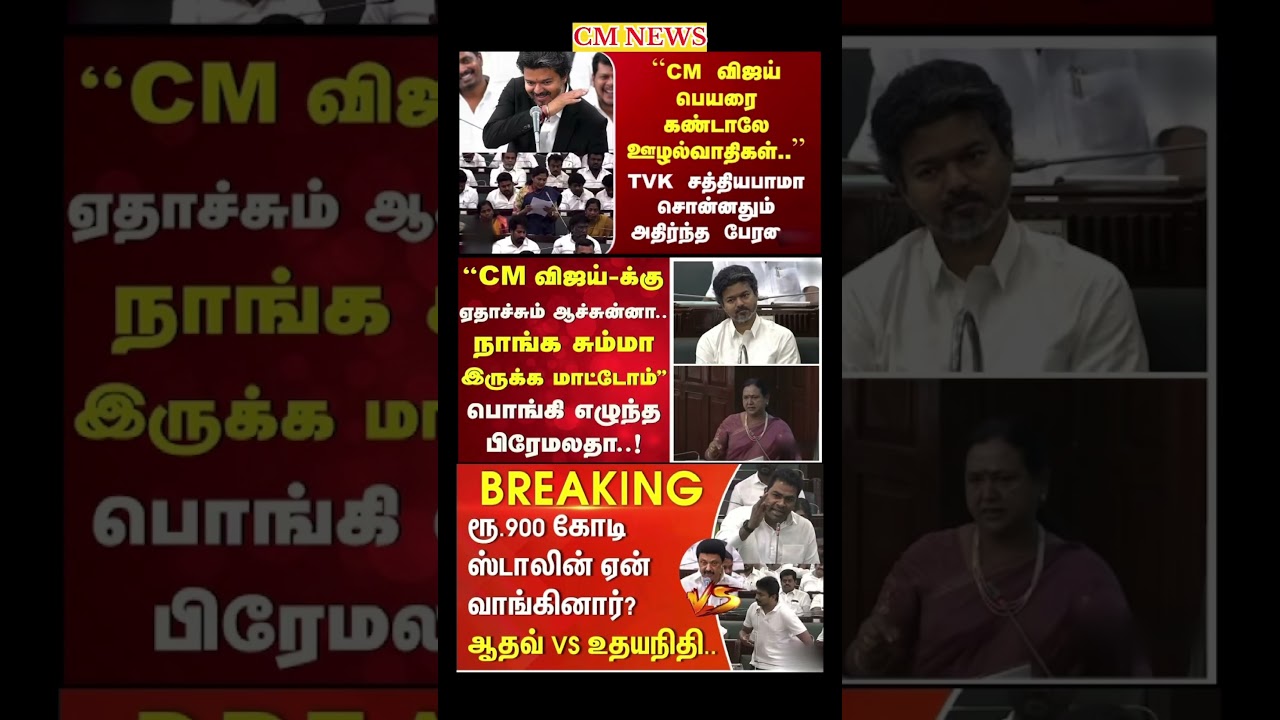 TVK Thalapathy vijay anna || #tvk#dmk#admk#congress#bjp#breakingnews#news#thalapathy#vijay#cjp