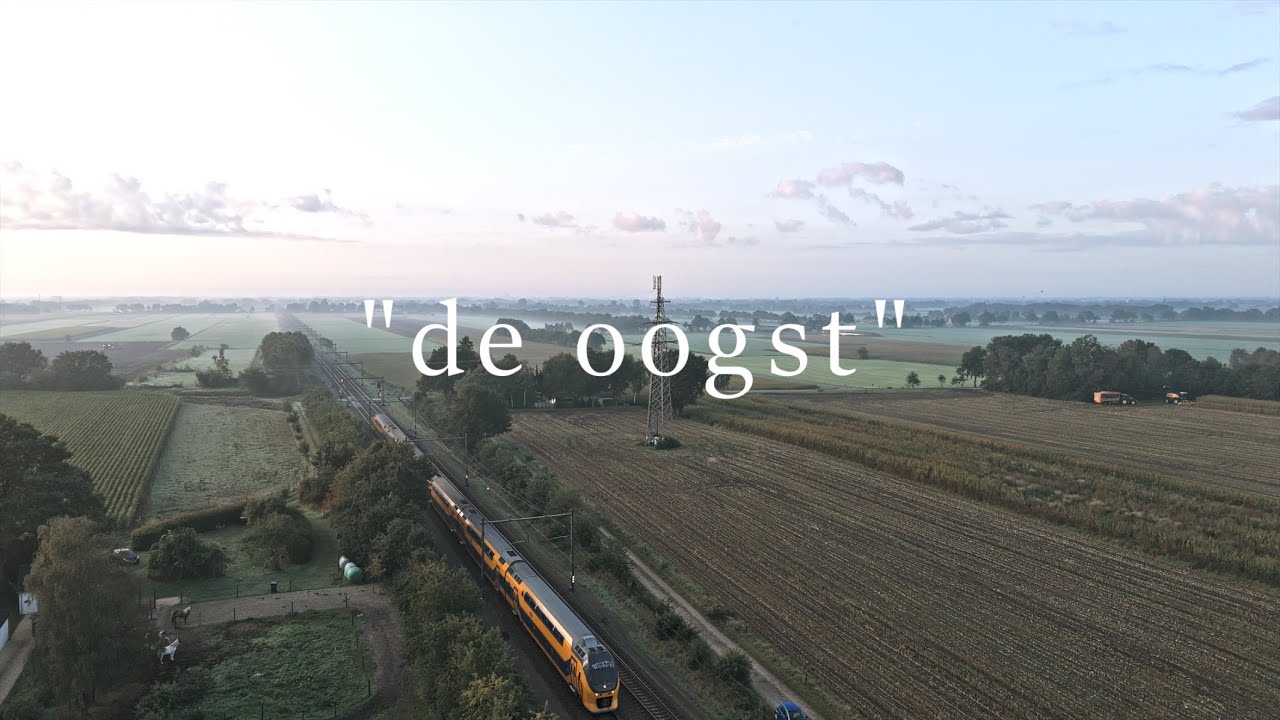 De oogst