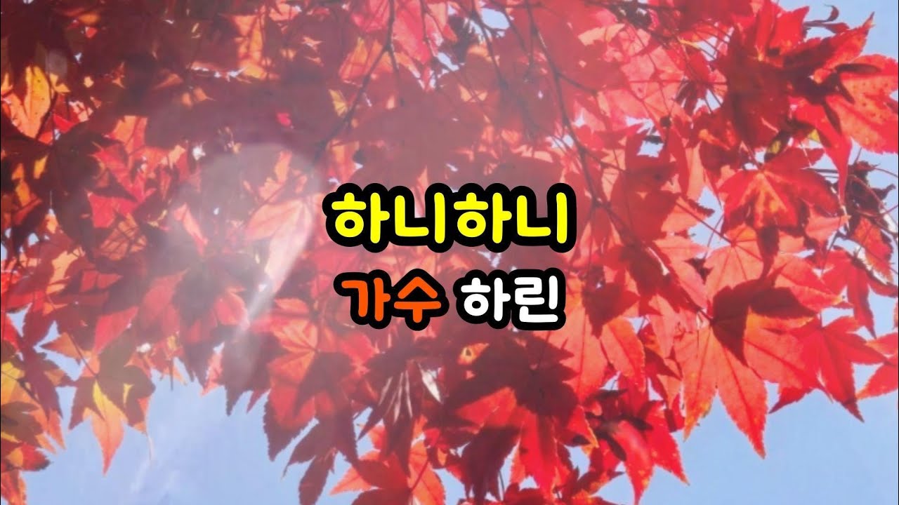 가수 하린 = 하니 하니 = 제24회 팔공산 단풍축제 = 주최:팔공산 동화마을 상가 번영회 = 주관:팔공산 단풍축제 추진 위원회 = 원곡 서지오