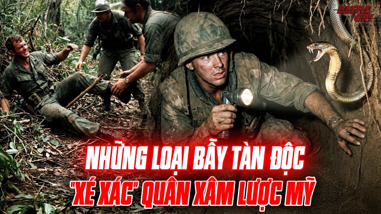 CƠN ÁC MỘNG CỦA LÍNH MỸ: KHI CHÔNG TRE VÀ RẮN ĐỘC VIỆT NAM TRỞ THÀNH CỖ MÁY HÀNH HÌNH 50 VẠN QUÂN MỸ