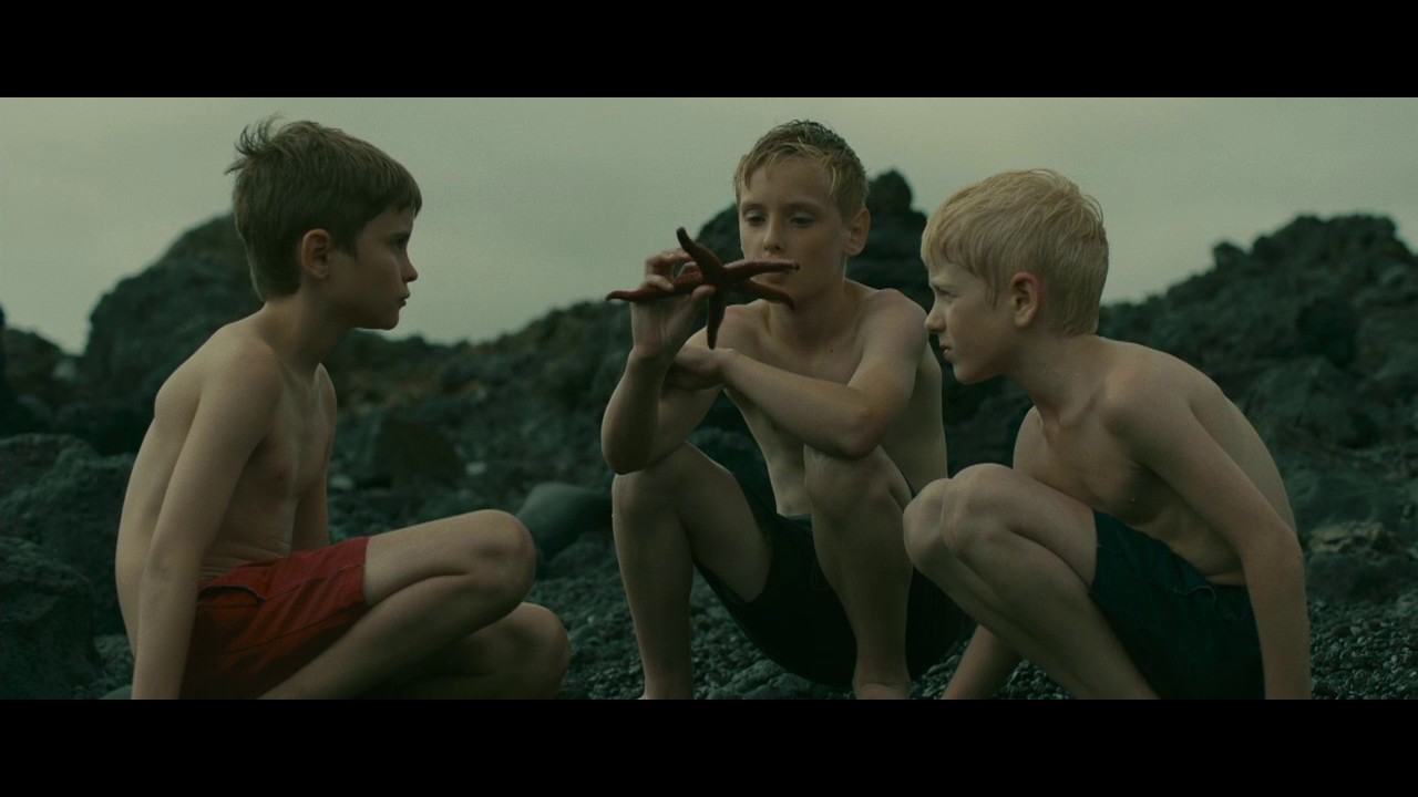 EVOLUTION | 2016 | Clip 