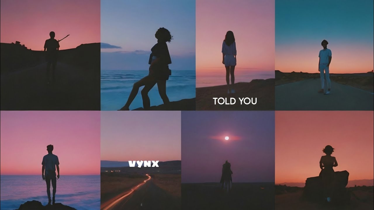 VYNX - Have I ever told you (Original Audio)