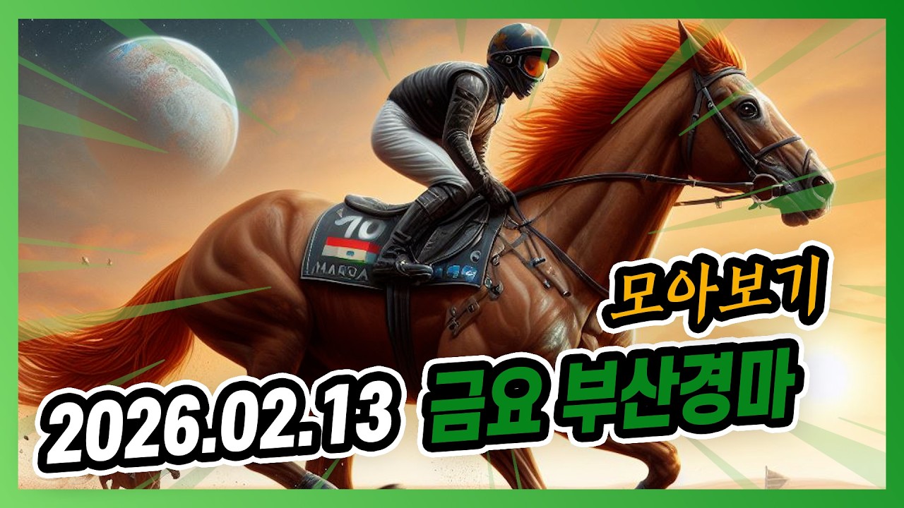 2026년 2월 13일 금요 부산경마 전체경주 모아보기