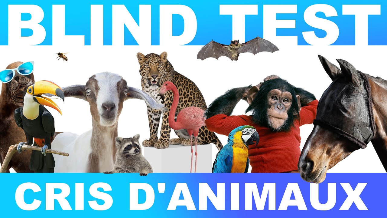 BLIND TEST : 50 Cris D'Animaux à Reconnaître