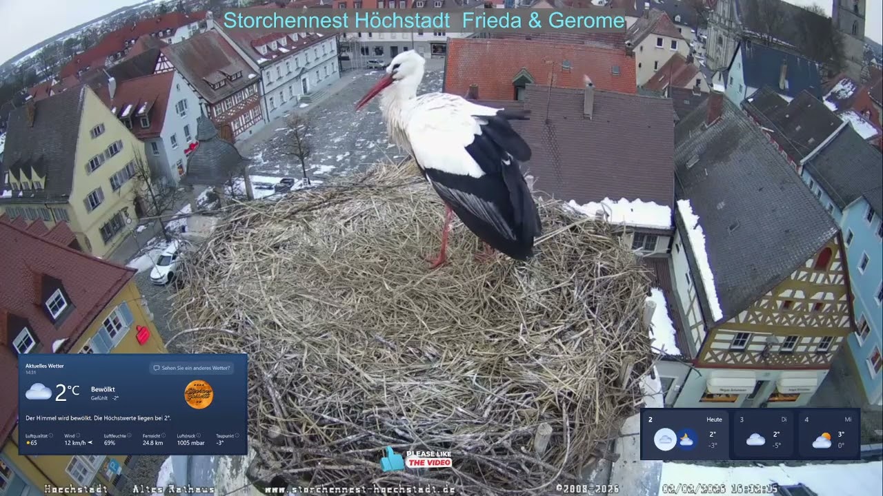 2026 02 02 Storchennest Höchstadt, guten Tag und gutes Nächtle allen Storchenfreunden👍👍👍