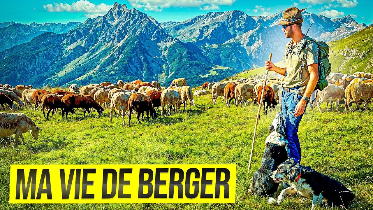 MA VIE DE BERGER 4 MOIS SEUL EN MONTAGNE   - FILM COMPLET