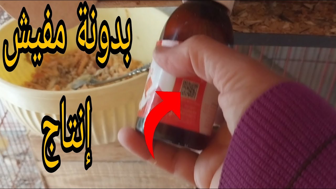 أهم سبب لضعف إنتاج طيور الزينة رغم التغذية الجيدة: عنصر ناقص بدون ما تاخد بالك