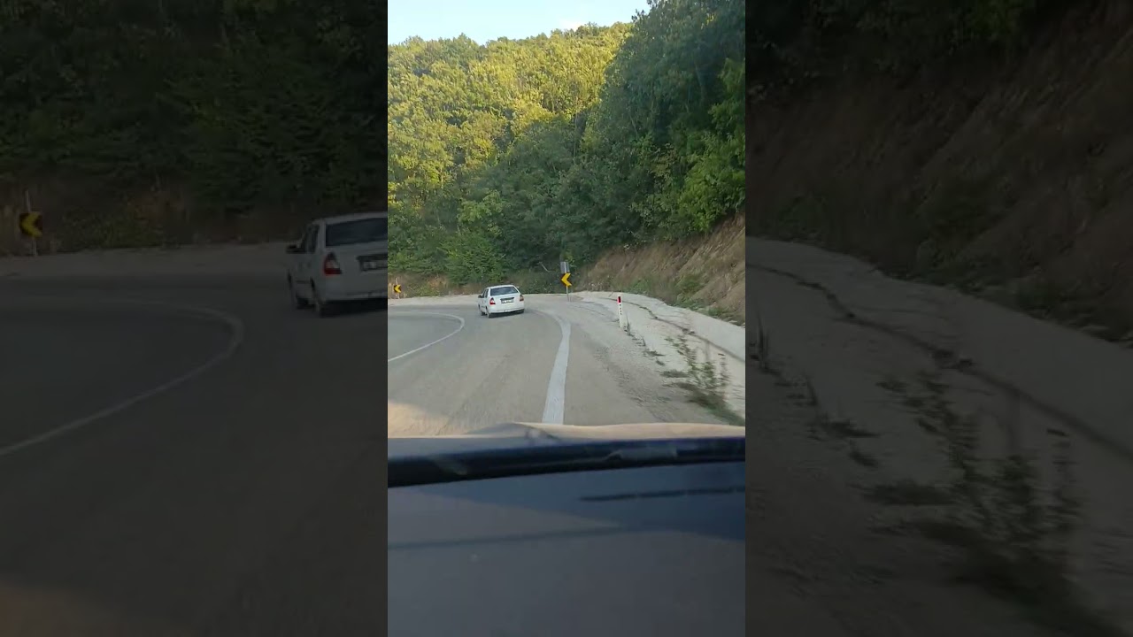 Sevda gül-(fadik) #doğa #yol #yollar #yollardayım 