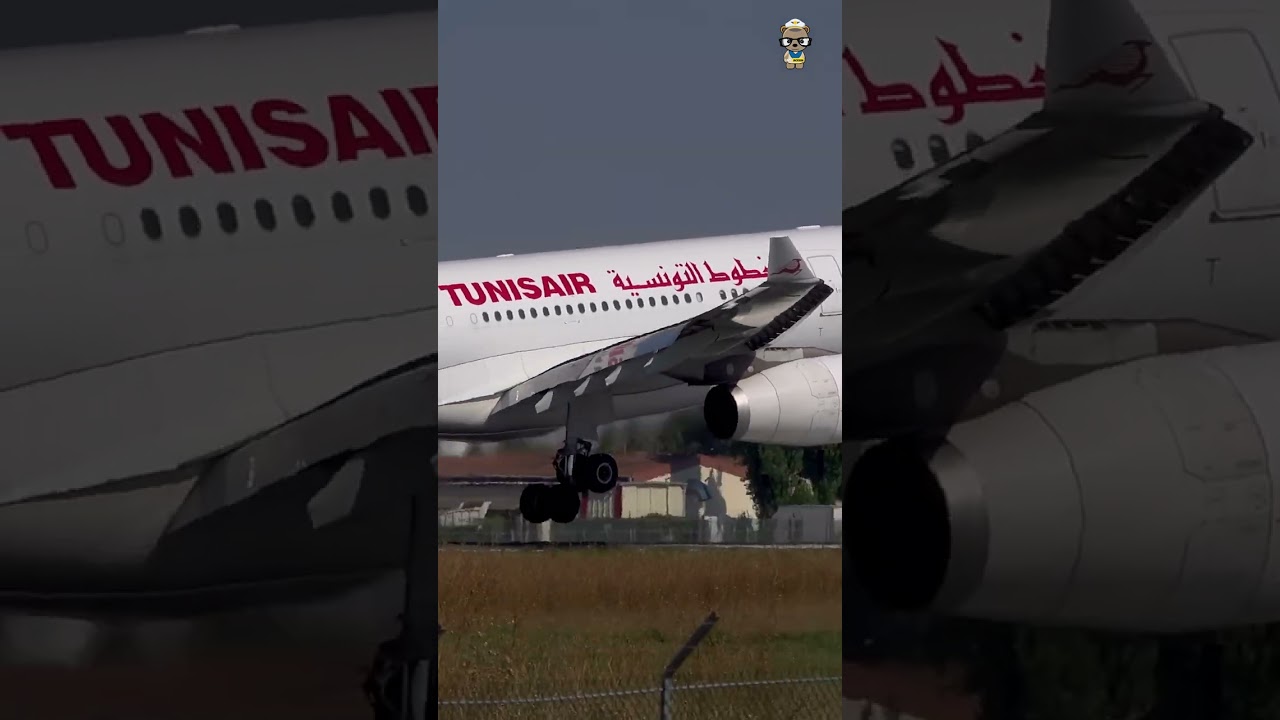 Tunisair Airbus A330-200  #shorts #facts #butter #landing #aviation #beautiful #airbusa330 #tunisair