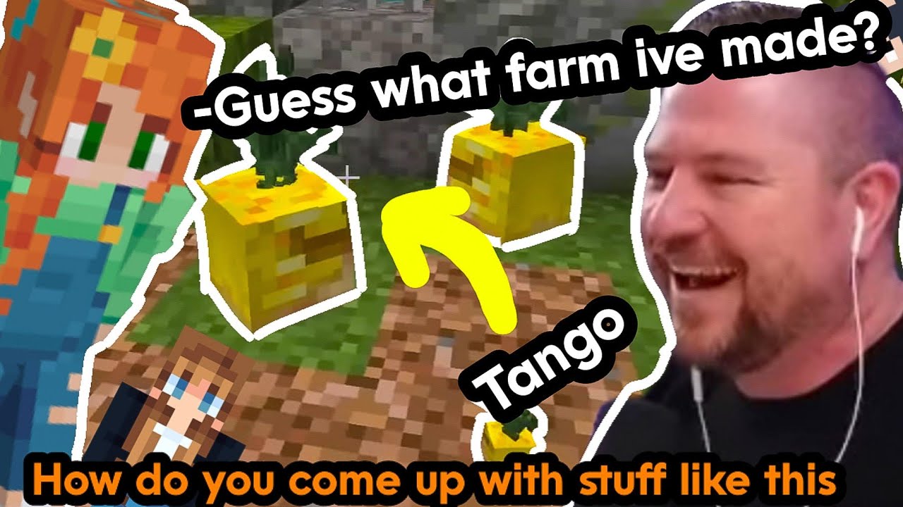 ДРАГОЦЕННЫЙ КАМЕНЬ ПРЕВРАТИЛ Танго в АНАНАС 🥰😭🍍 🍍 🍍