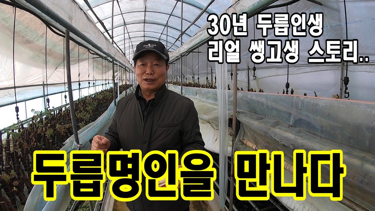 두릅30년 두릅명장 천영호두릅농장에 다녀오다