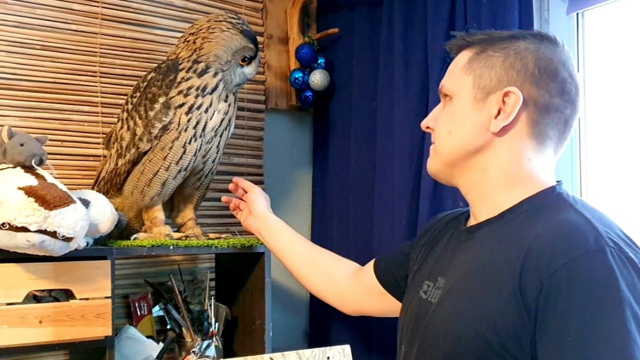 У совы Ёлки новый ящичек для улицы