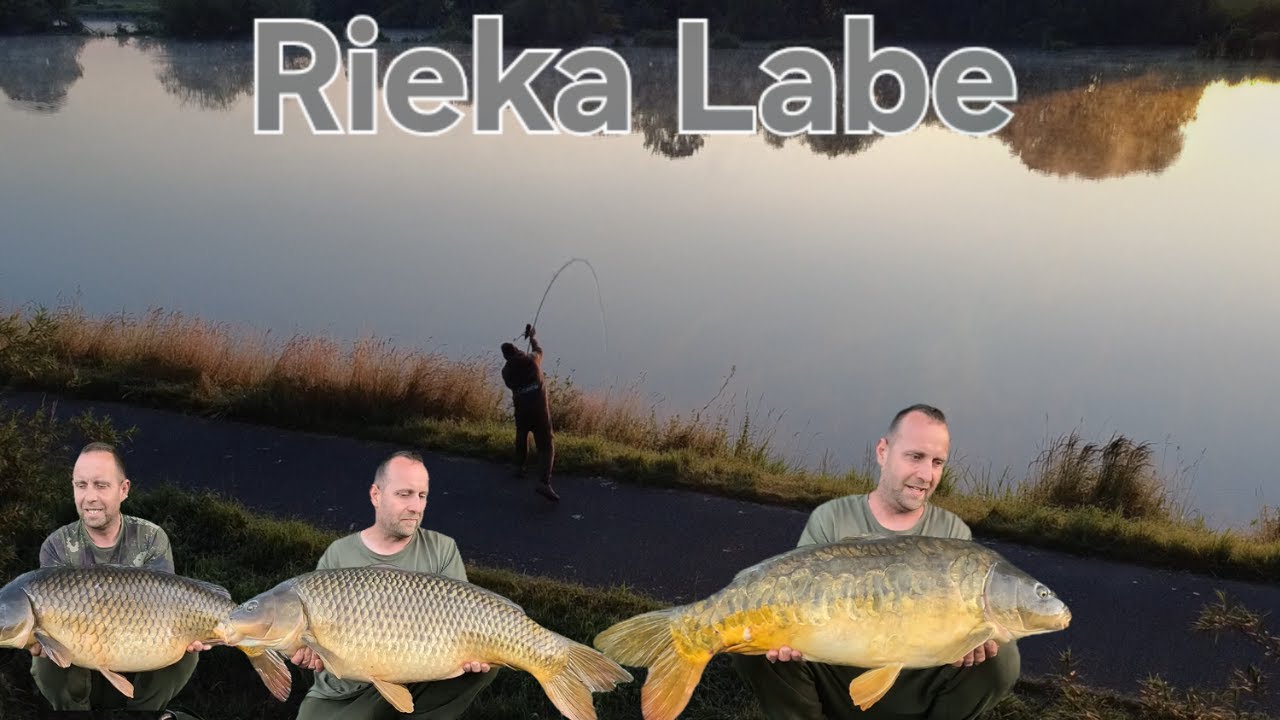 Výprava na Rieku Labe / Lov Kapra na  Rieke / Carp Fishing /