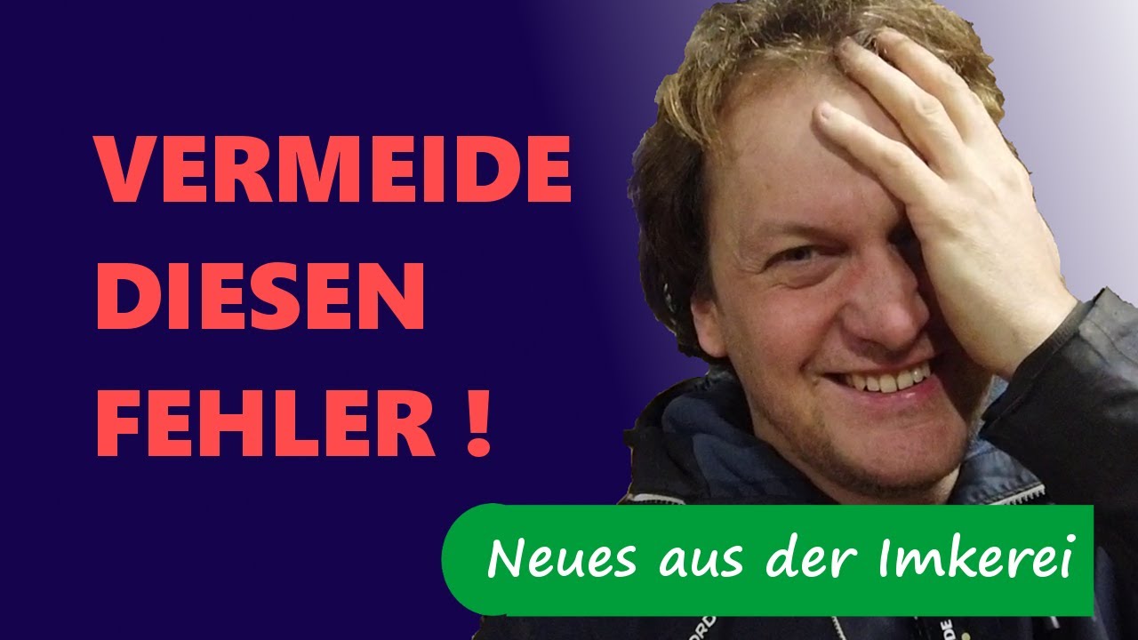 Bienenkönigin  auf die Qualität kommt es an  Imkern mit Erfolg