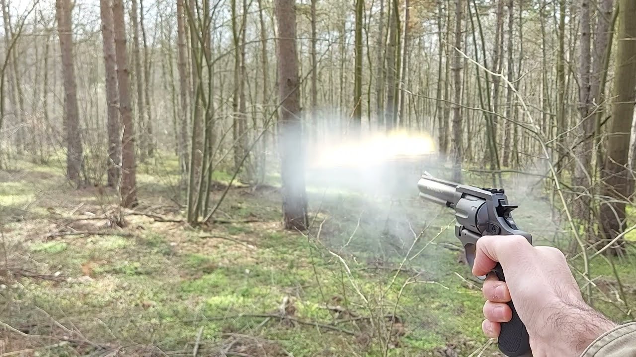 Zoraki R1 shooting RK and PAK rounds