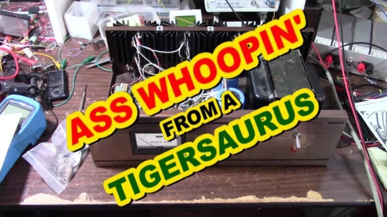 SWTP Tigersaurus 210/A amplifier oscillation problem