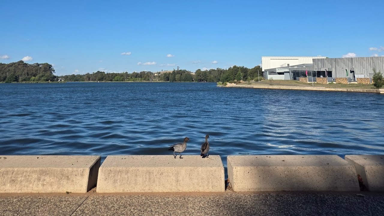 Jalan jalan ke Ginninderra Lake, Canberra