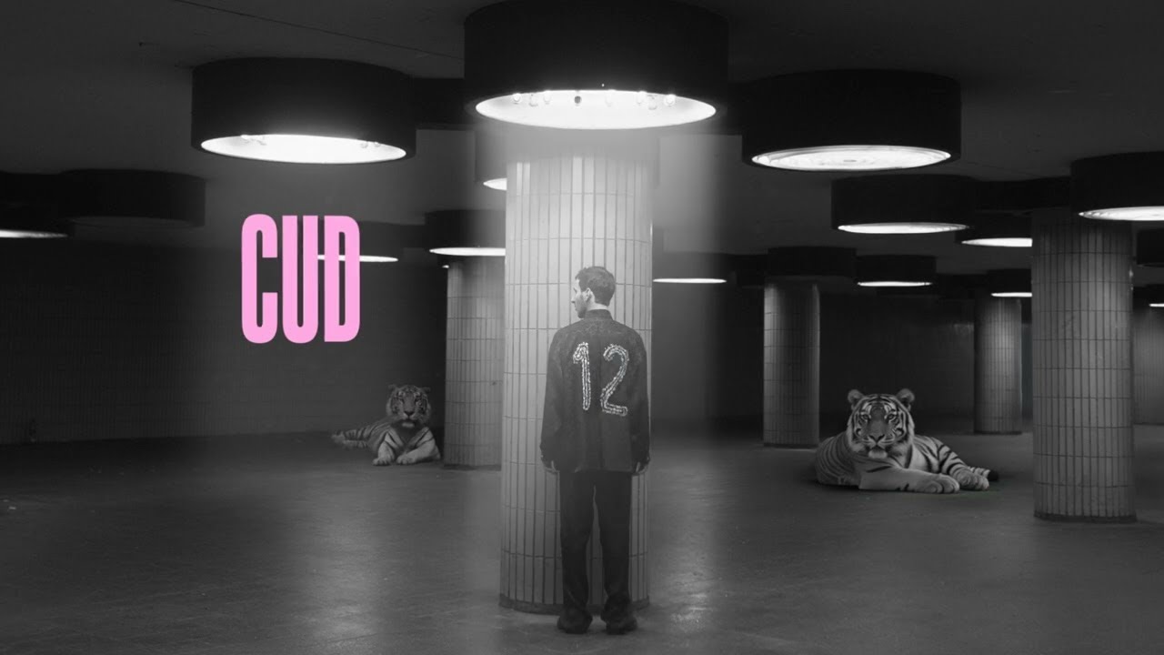 IGO - Cud