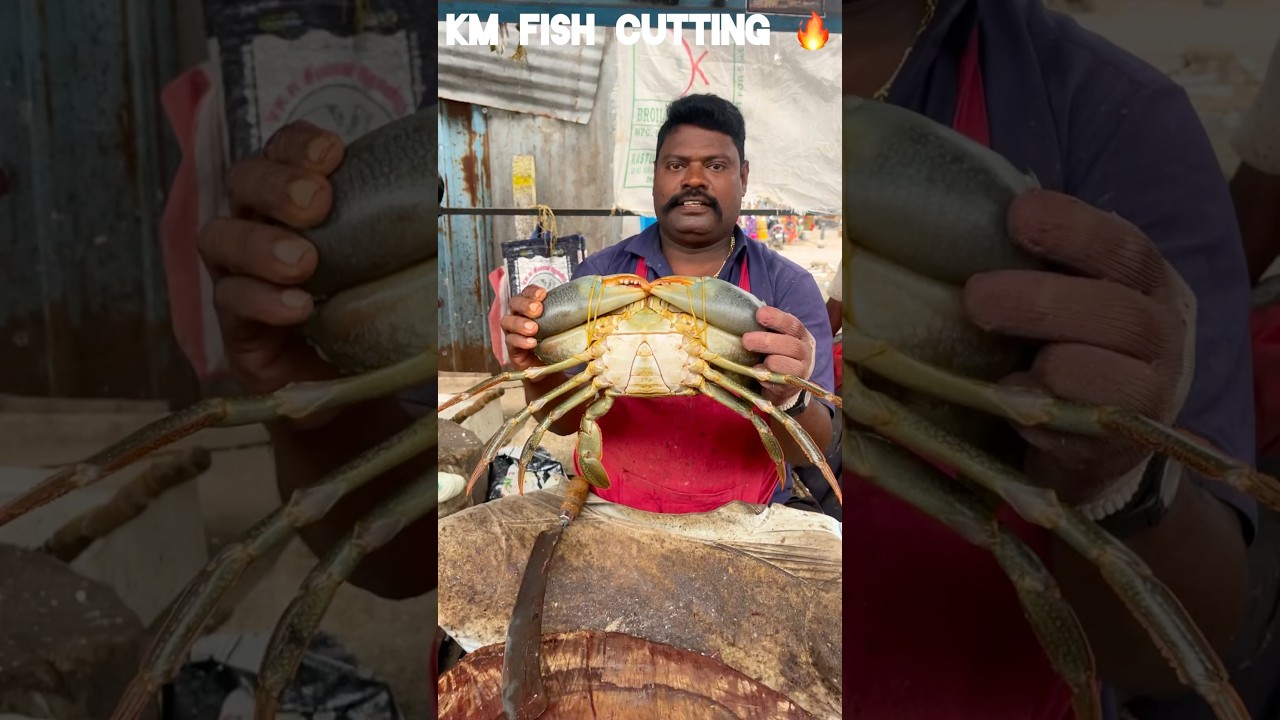 KASIMEDU 🔥 SPEED SELVAM CRABS CUTTING VIDEO #kasimeduselvam #fishcutting #shortfeed #shorts