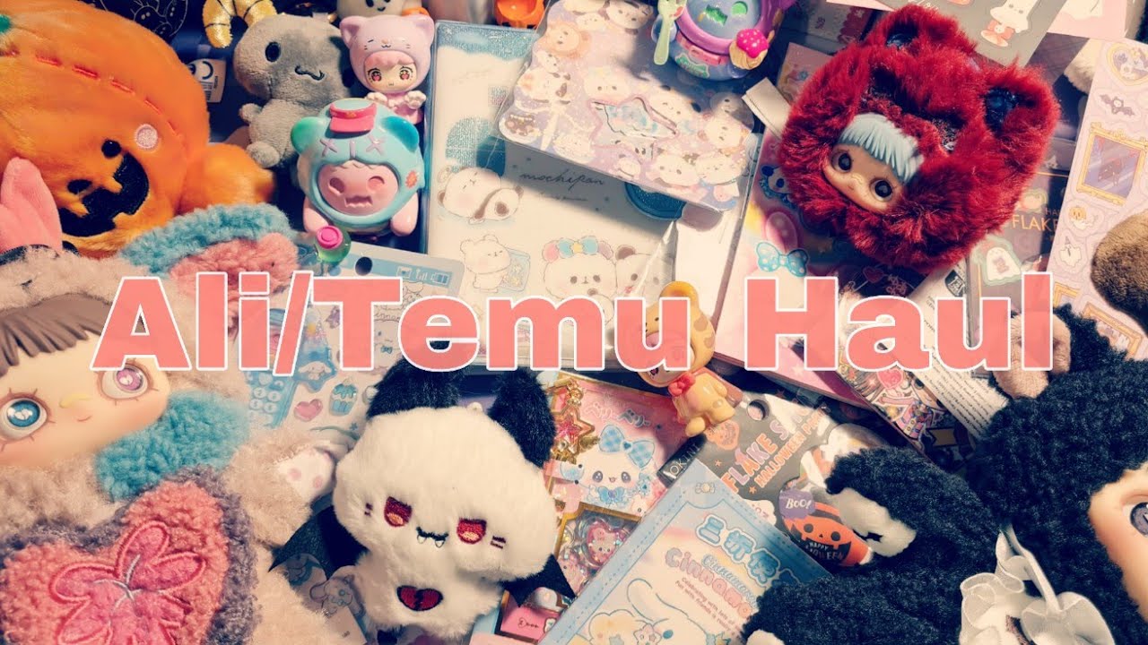 Aliexpress/Temu HAUL- Gaanz süßes Zeugs!